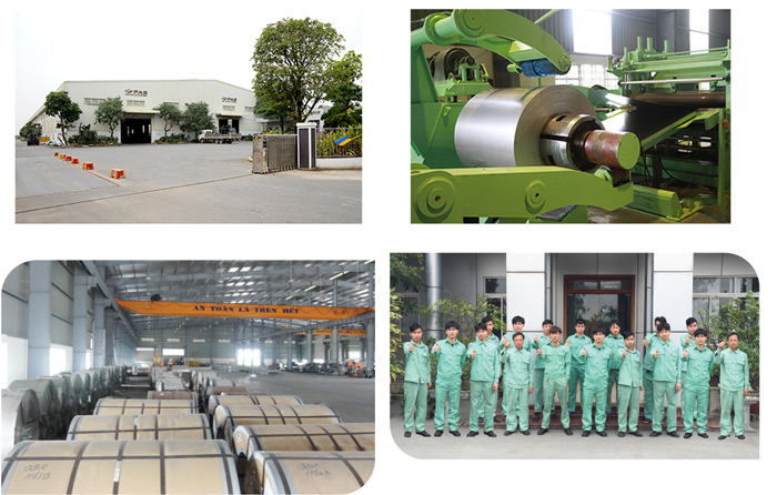 cong ty co phan quoc te phuong anh